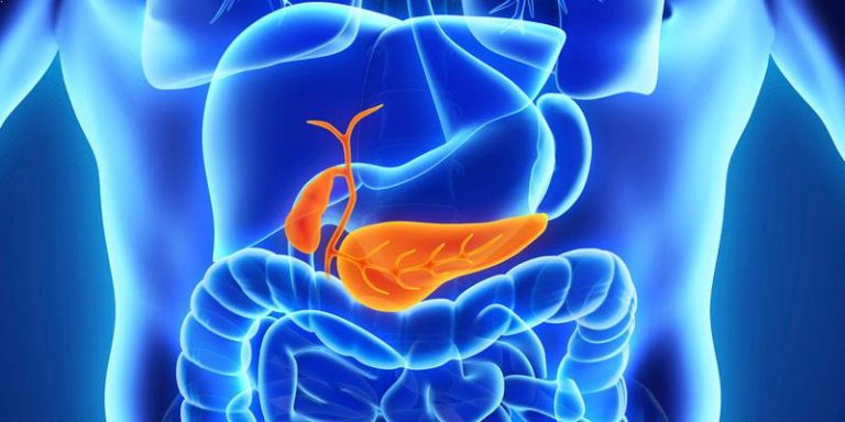 PANCREAS SURGERY – LiverTransplantsIndia.in